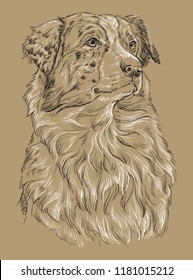 Australian shepherd vector hand drawing black and white illustration isolated on beige background