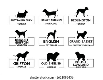 Australian Silky Terrier, Basset Artésien Normand, Bedlington Terrier, Briquet Griffon Vendéen, English toy terrier, Grand basset Griffon Vendeen, 
Griffon Nivernais, Dog vector icons, set 4