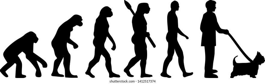 Australian Silky Terrier dog evolution with silhouette