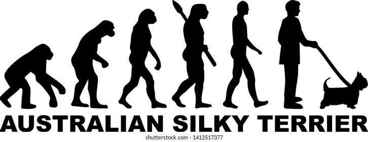 Australian Silky Terrier dog evolution with silhouette