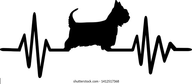 Australian Silky Terrier heartbeat frequence with silhouette