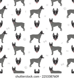 Australian stumpy tail cattle dog seamless pattern.  Vector illustration svg