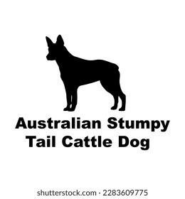 australian stumpy tail cattle dog  dog silhouette dog breeds