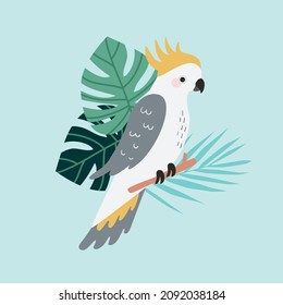 Australian Sulphur Crested Cockatoo Parrot Bird on Tropical Palm and Monstera Leaves