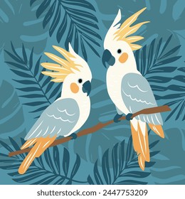 Australian Sulphur Crested cockatoos parrots sitting on tropical leaves branch dark background