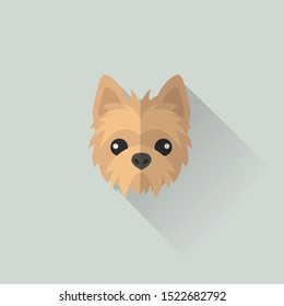 Australian Terrier Dog Head Vector Flat Design Illustration from Front View for Website Icon, Social Media or Blog Post for Dog Related Business