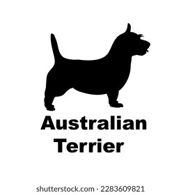  raza de perro de silueta de perro de australia terrier