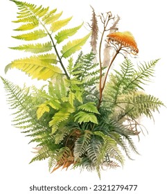 Australian Tree Fern Watercolor illustration. Hand drawn underwater element design. Artistic vector marine design element. Illustration for greeting cards, printing and other design projects.