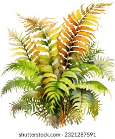 Australian Tree Fern Watercolor illustration. Hand drawn underwater element design. Artistic vector marine design element. Illustration for greeting cards, printing and other design projects.