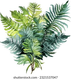 Australian Tree Fern Watercolor illustration. Hand drawn underwater element design. Artistic vector marine design element. Illustration for greeting cards, printing and other design projects.