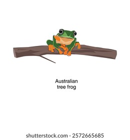 Australian
tree frog Vector illustration