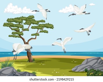 Australian White Ibis Group In Wetland Landscape Illustration