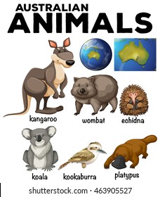 Australian wild animals and Australia map illustration