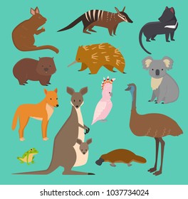 Australian wild vector animals cartoon collection australia popular animals like platypus, koala, kangaroo, ostrich set isolated on background