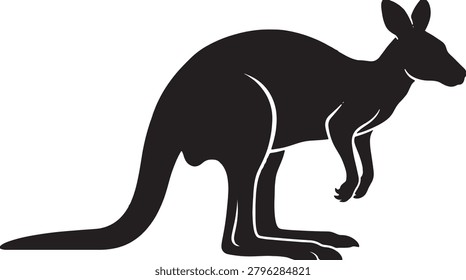 Australian wildlife macropus rufus native animal mammal jumping pouch.