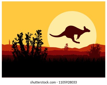  Australian wildlife. Silhouette of kangaroo. Sunset.