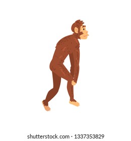 Australopithecus, Biology Human Evolution Stage, Evolutionary Process Vector Illustration