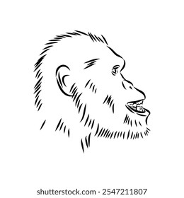 Australopithecus, vector sketchl. Graphic sketch. Vector