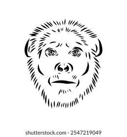 Australopithecus, vector sketchl. Graphic sketch. Vector