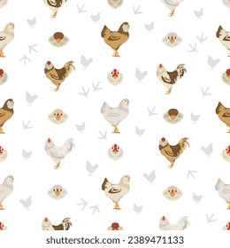 Australorp Chicken breeds seamless pattern. Poultry and farm animals. Different colors set.  Vector illustration