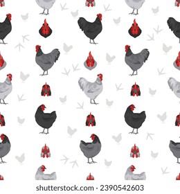 Australorp Chicken breeds seamless pattern. Poultry and farm animals. Different colors set.  Vector illustration