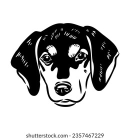 Austrian Black and Tan Hound austrian brandlbracke vector