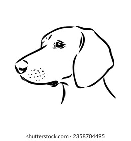 Austrian Black and Tan Hound austrian brandlbracke vector