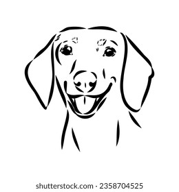 Austrian Black and Tan Hound austrian brandlbracke vector