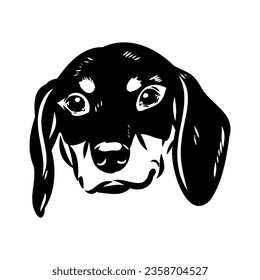Austrian Black and Tan Hound austrian brandlbracke vector