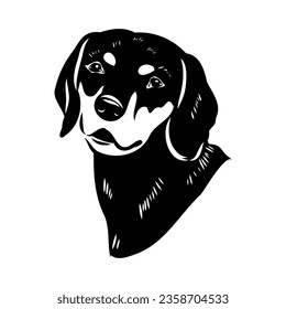 Austrian Black and Tan Hound austrian brandlbracke vector