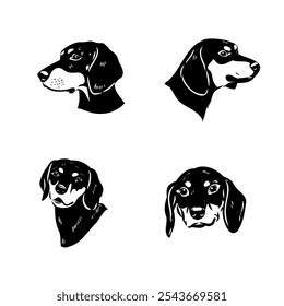 Austrian Black and Tan Hound austrian brandlbracke vector