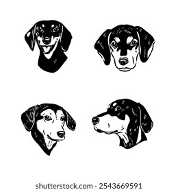 Austrian Black and Tan Hound austrian brandlbracke vector