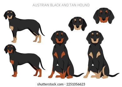 Austrian black and tan hound clipart. Different poses, coat colors set. vector illustration