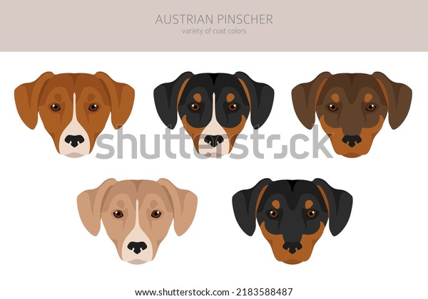 are austrian pinscher noisy