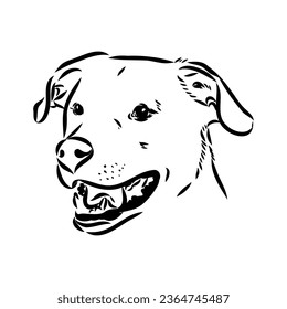 austrian pinscher vector sketch illustration