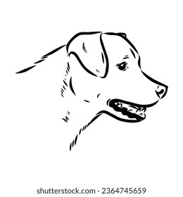 austrian pinscher vector sketch illustration