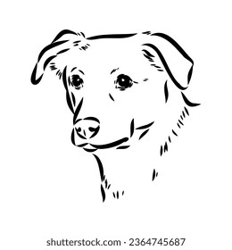 austrian pinscher vector sketch illustration