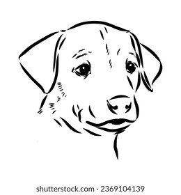 austrian pinscher vector sketch illustration