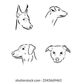 Ilustración de boceto de Vector austriaco Pinscher
