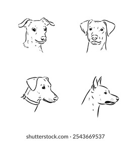austrian pinscher vector sketch illustration