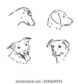 austrian pinscher vector sketch illustration