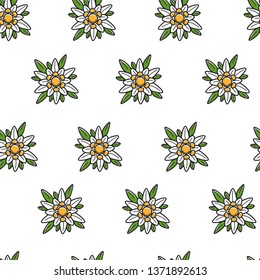 Austrian symbol edelweiss wild flower seamless pattern vector plant blossom travel to Austria endless texture bud and leaves wallpaper print traveling and tourism backdrop nature and flora greenery