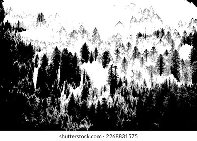 Authentic coniferous forest in the morning fog, black and white mountain landscape vector image. Carpathian Mountains, Poland.