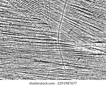Authentic vector grunge wood texture with a natural pattern of cracks and concentric circles. Use as an overlay or stencil for vintage, rustic, and abstract designs