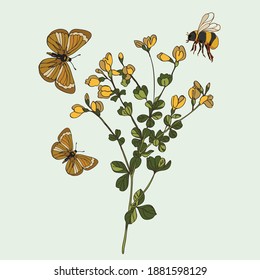 el vector del autor La ilustración botánica se realiza en forma de dibujo digital de una planta y una mariposa