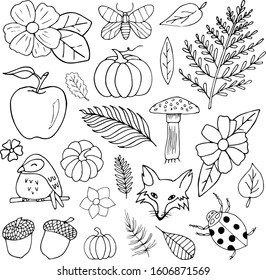 Autimn Fall Forest Botanic Leaves Doodle Hand Drawn Cartoon Cute Vector Illustration Sketch Outline Elements Isolated On White Background