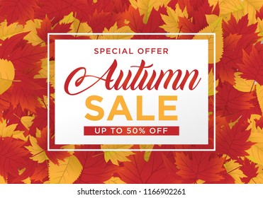 autmn sale background template with maple leafs concept use for print and ecommerce web banner