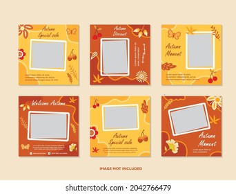 autmn sale social media template with maple leaves use for print and ecommerce web banner