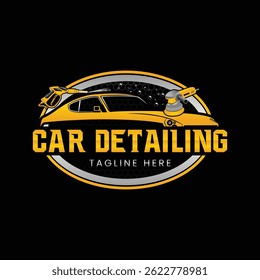 Auto Detailing logo design template