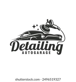 auto detailing service monochrome logo vector illustration